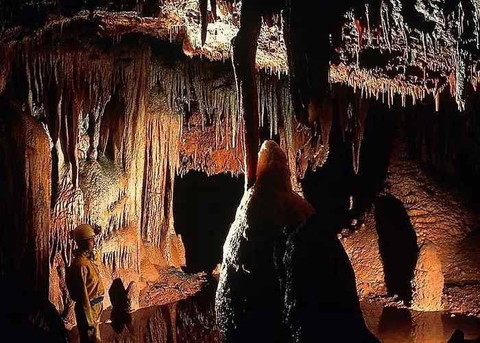 Bungalow Porec Vikendica Porec